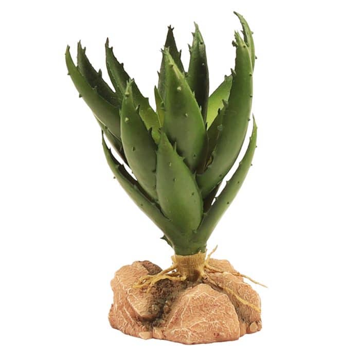 Zoo Med Naturalistic Desert Flora Green Aloe artificial terrarium plant with removable rock base