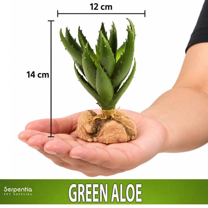 Zoo Med Desert Flora Green Aloe artificial plant shown in hand for scale, approximately 14cm high and 12cm wide