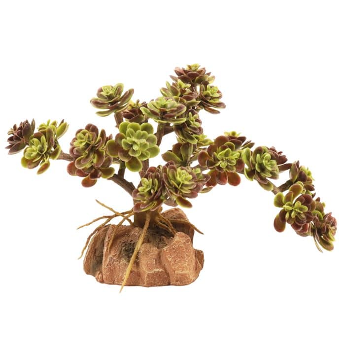Zoo Med Naturalistic Desert Flora Red Leaf Stonecrop artificial terrarium plant with removable rock base