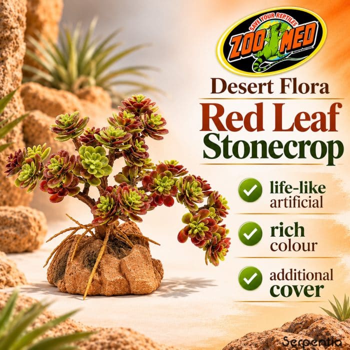Zoo Med Desert Flora Red Leaf Stonecrop life-like artificial plant with rich colour and additional cover