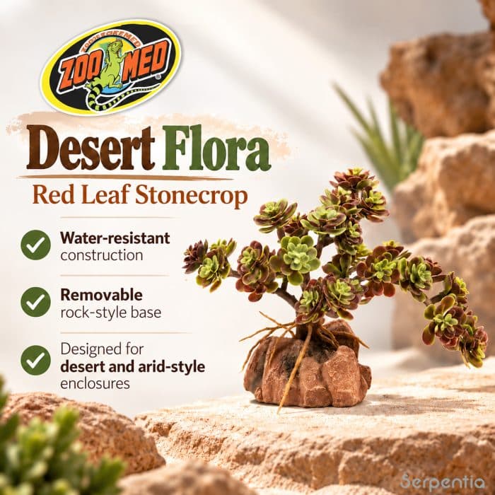 Zoo Med Desert Flora Red Leaf Stonecrop with water-resistant construction and removable rock-style base