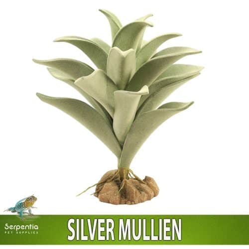 Zoo Med Naturalistic Desert Flora Silver Mullien artificial terrarium plant with realistic rock base