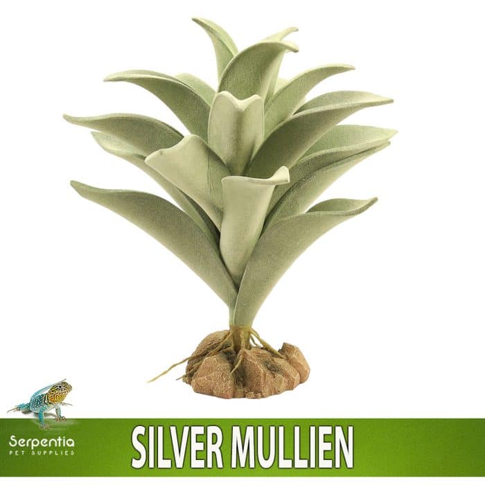 Zoo Med Naturalistic Desert Flora Silver Mullien artificial terrarium plant with realistic rock base