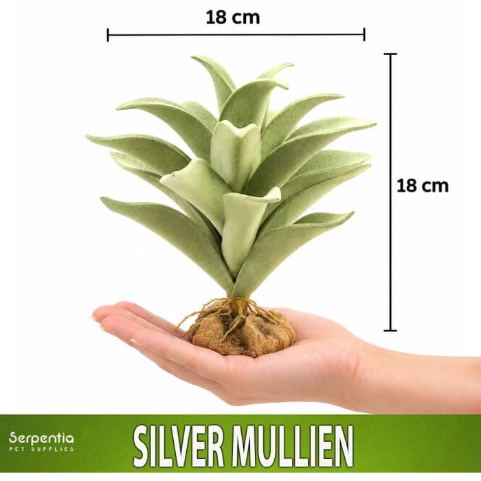 Zoo Med Desert Flora Silver Mullein artificial plant shown in hand for scale, approximately 18cm high and 18cm wide