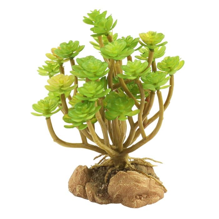 Zoo Med Naturalistic Desert Flora Tree Houseleek artificial terrarium plant with removable rock base