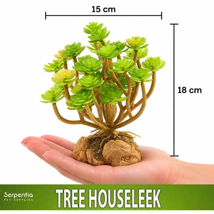 Zoo Med Desert Flora Tree Houseleek artificial plant shown in hand for scale, approximately 18cm high and 15cm wide