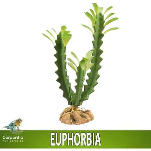 Zoo Med Naturalistic Desert Flora Euphorbia artificial terrarium plant with realistic rock base