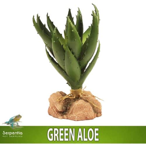Zoo Med Naturalistic Desert Flora Green Aloe artificial terrarium plant with realistic rock base