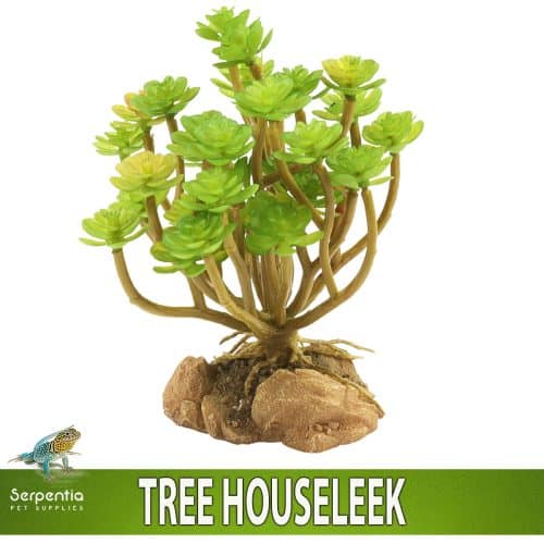 Zoo Med Naturalistic Desert Flora Tree Houseleek artificial terrarium plant with realistic rock base