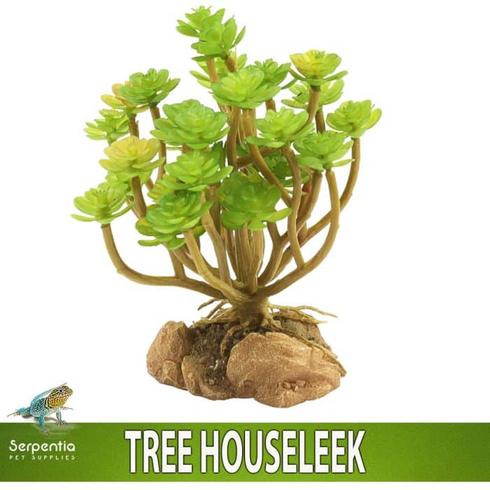 Zoo Med Naturalistic Desert Flora Tree Houseleek artificial terrarium plant with realistic rock base